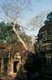 Cambodia: Preah Khan, Angkor