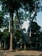 Cambodia: Eastern entrance forecourt, Preah Khan, Angkor