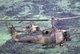 Cambodia: US helicopter gunships (USAF UH-1Ps) flying clandestinely over Cambodia in 1970.